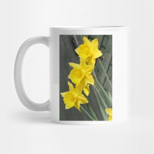 Yellow Daffodils Mug